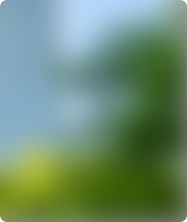 金沙(797966·Sands认证)娱场城-Best Platform